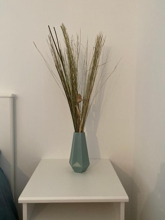 Studio Saint Cyprien Plage 외부 사진